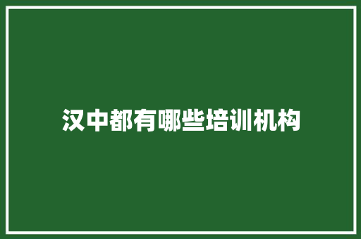 汉中都有哪些培训机构