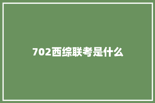 702西综联考是什么
