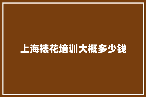 上海裱花培训大概多少钱