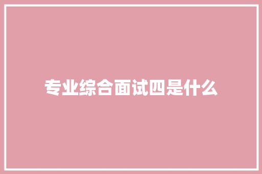 专业综合面试四是什么