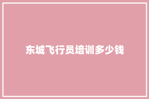东城飞行员培训多少钱