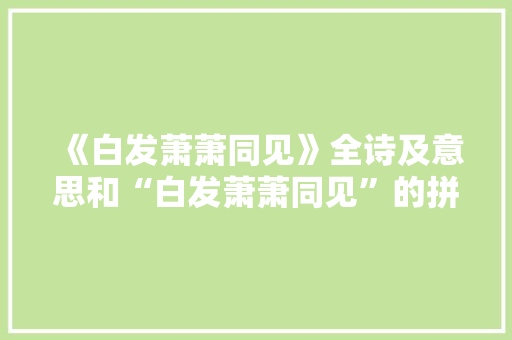 《白发萧萧同见》全诗及意思和“白发萧萧同见”的拼音注释