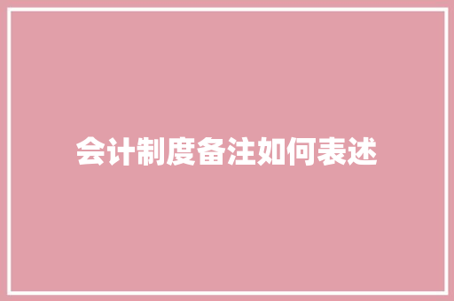会计制度备注如何表述