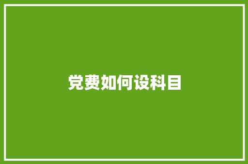 党费如何设科目