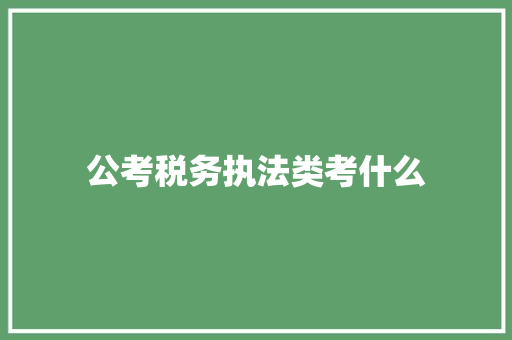 公考税务执法类考什么