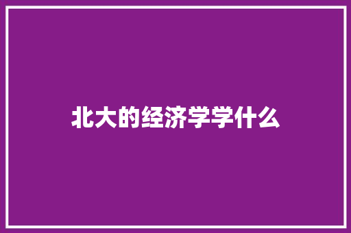 北大的经济学学什么
