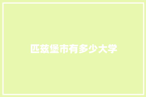 匹兹堡市有多少大学