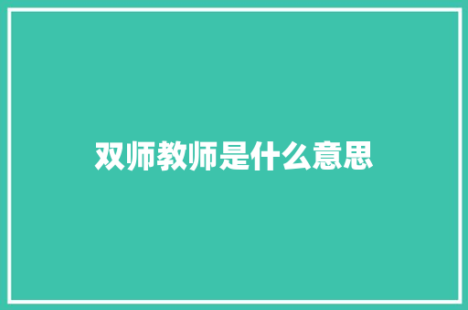双师教师是什么意思