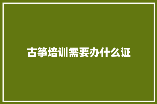 古筝培训需要办什么证