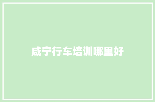 咸宁行车培训哪里好