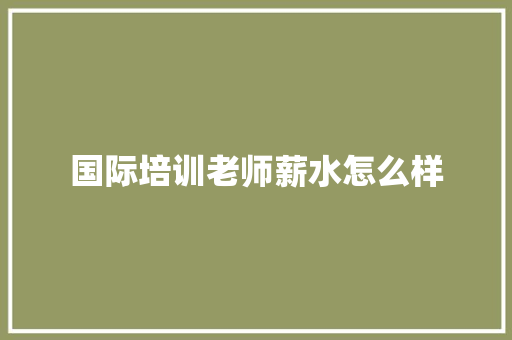 国际培训老师薪水怎么样