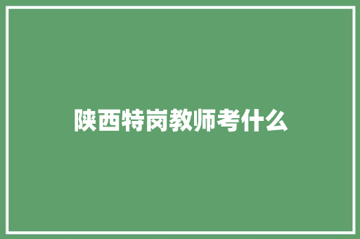 陕西特岗教师考什么