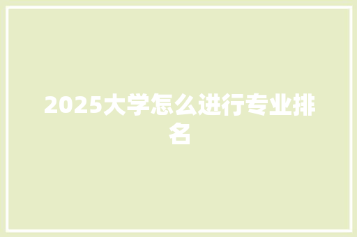 2025大学怎么进行专业排名