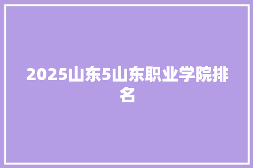 2025山东5山东职业学院排名