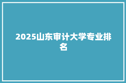 2025山东审计大学专业排名