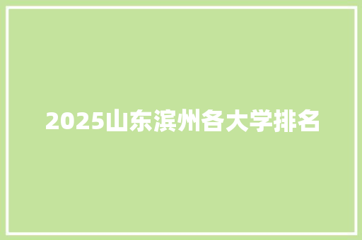 2025山东滨州各大学排名