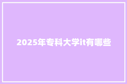2025年专科大学it有哪些