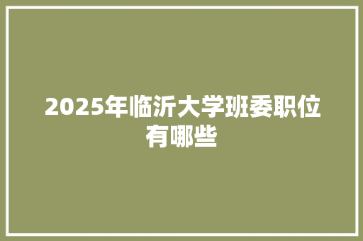 2025年临沂大学班委职位有哪些