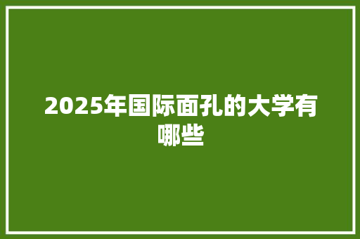 2025年国际面孔的大学有哪些
