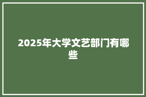 2025年大学文艺部门有哪些