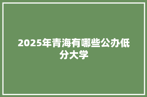 2025年青海有哪些公办低分大学
