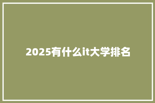 2025有什么it大学排名