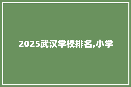 2025武汉学校排名,小学