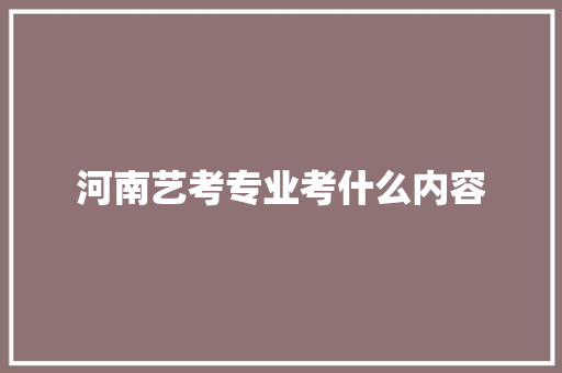 河南艺考专业考什么内容