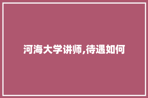 河海大学讲师,待遇如何