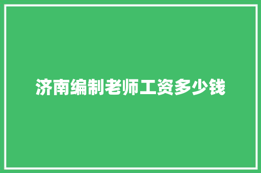 济南编制老师工资多少钱