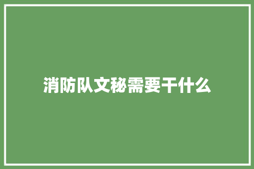 消防队文秘需要干什么