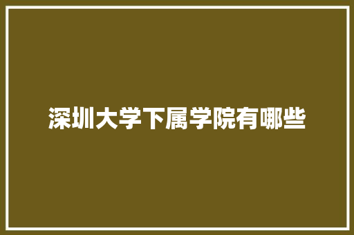 深圳大学下属学院有哪些