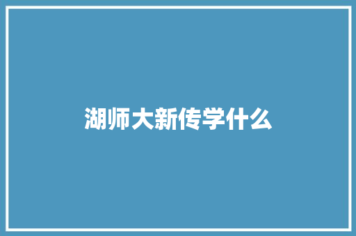 湖师大新传学什么