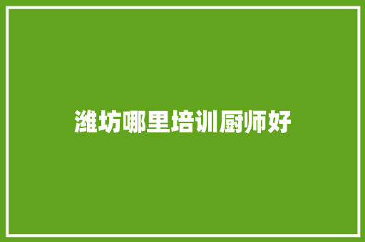 潍坊哪里培训厨师好