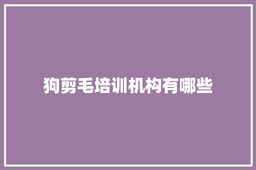狗剪毛培训机构有哪些