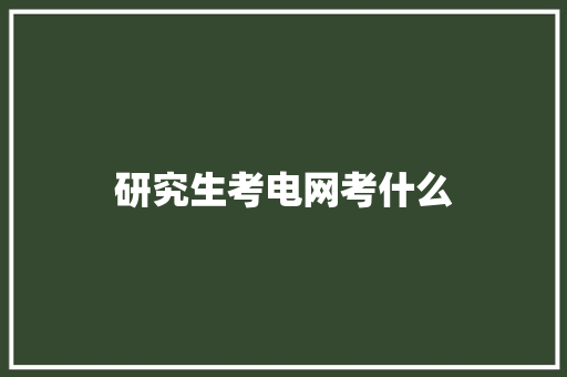 研究生考电网考什么