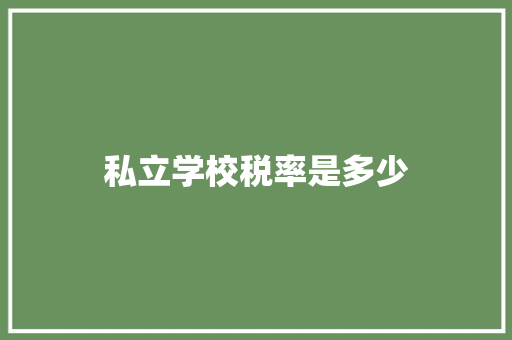 私立学校税率是多少