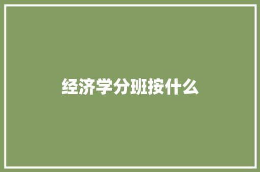 经济学分班按什么