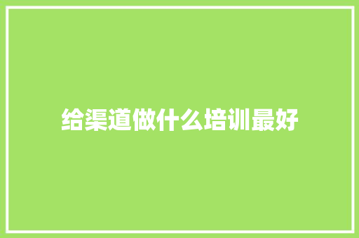 给渠道做什么培训最好