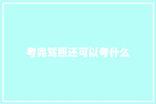 考完驾照还可以考什么