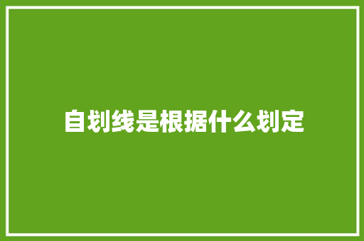 自划线是根据什么划定