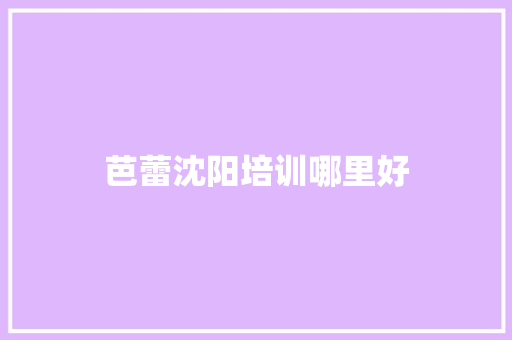 芭蕾沈阳培训哪里好