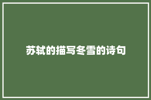 苏轼的描写冬雪的诗句