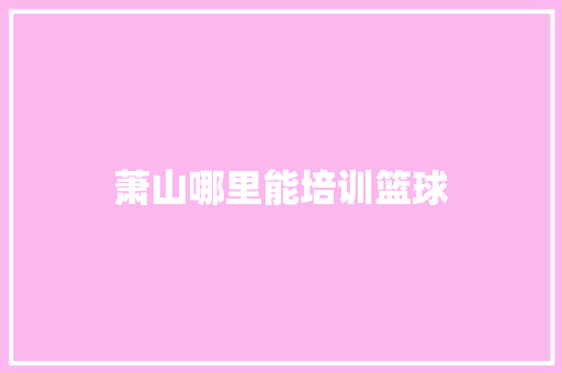 萧山哪里能培训篮球