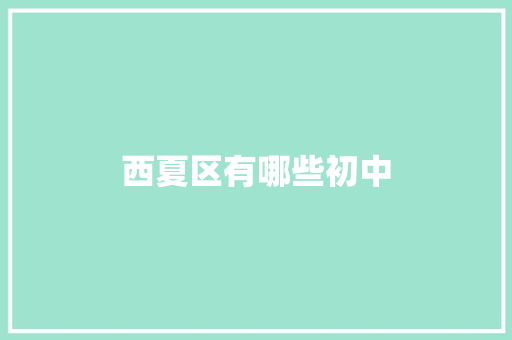西夏区有哪些初中 社交媒体