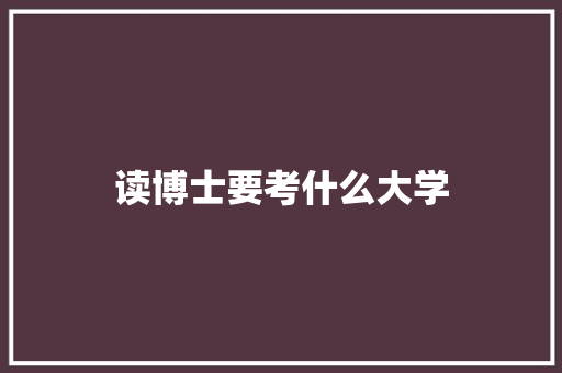 读博士要考什么大学 项目报告