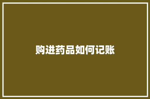 购进药品如何记账