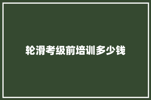 轮滑考级前培训多少钱