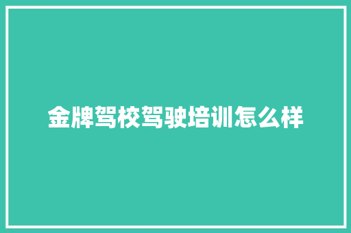 金牌驾校驾驶培训怎么样