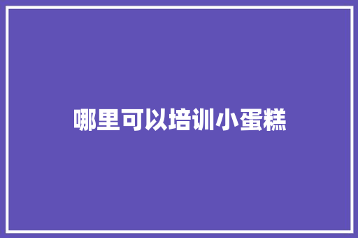 哪里可以培训小蛋糕